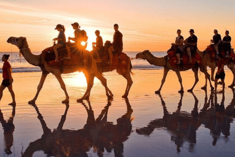 Explore Djerba on a Camel through Palms & Beach