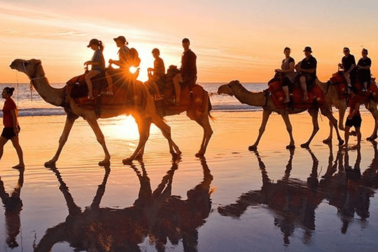 Explore Djerba on a Camel through Palms & Beach