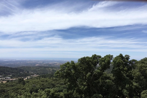 Silves and Monchique Mountain: Guided Bus Tour