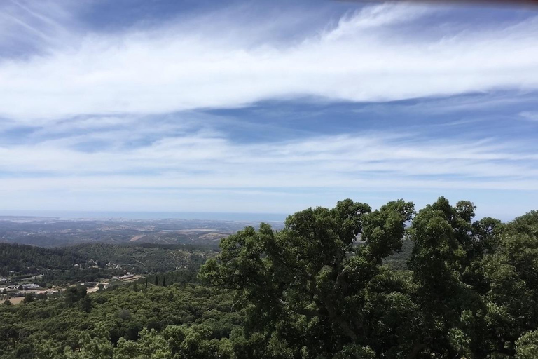 Silves and Monchique Mountain: Guided Bus Tour