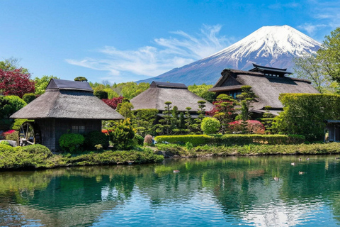 Mt. Fuji & Hakone Tour: Arakurayama, OshinoHakkai, Owakudani Tokyo Station | 7:30 AM Departure with English Guide