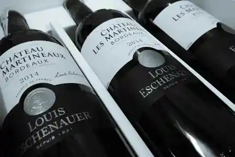 Desde Burdeos: Ruta del Vino del Medoc al Puerto de Cruceros de Le Verdon