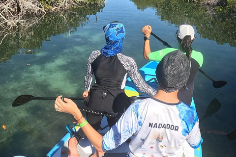 La Paz: Sea Lions & Mega-Paddleboard Tour in Espiritu Santo