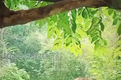 Kedung Pedut Waterfall and Blue Lagoon Adventure