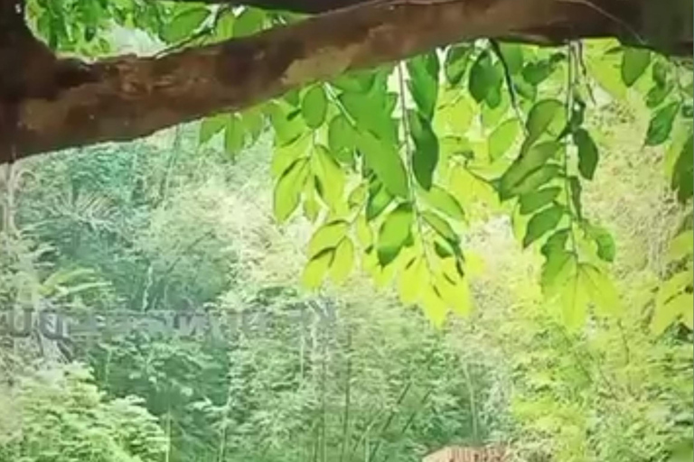 Kedung Pedut Waterfall and Blue Lagoon Adventure