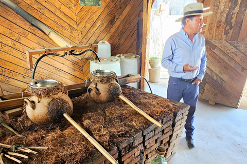 Oaxaca:full‑day tour Monte Alban, mezcal ancestral, alebrijes y barro negro