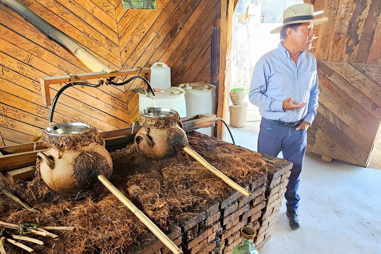 Oaxaca:full‑day tour Monte Alban, mezcal ancestral, alebrijes y barro negro