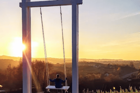 Alpaca Park: choose your alpaca for a walk + feeding