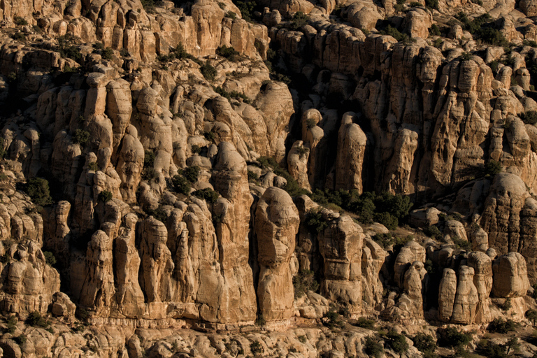 Vanuit Aqaba: Dana Natuurreservaat Privé Dagtrip met Lunch