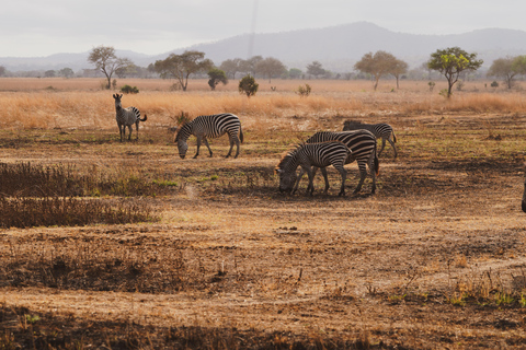 From Zanzibar: 2-Day Saadani Safari with Flight & meal