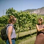Mezzocorona: Tour del vigneto Teroldego e degustazione di vini