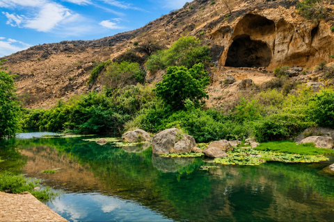 Salalah East: Taqah Castle, Sumhuram, & Wadi Dirbat Tour