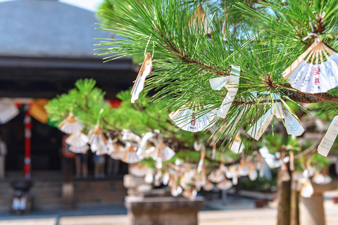 Kyoto&#039;s kust Amanohashidate, Ine&#039;s Funaya Huizen dagtrip8:40 pick-up in Osaka