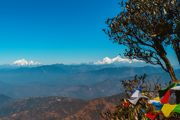 Kathmandu: Jamacho Peak Hike with Local Guide & Meal