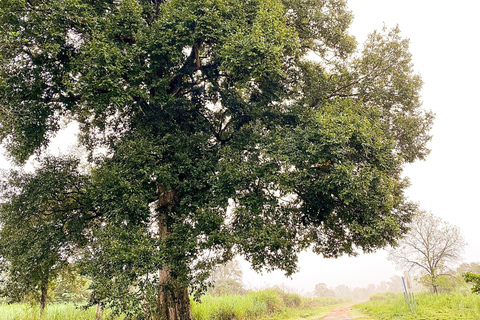 Parque Nacional de Cat Tien Tour particular de 2 dias com guia de turismoNão inclui alimentação e hotel