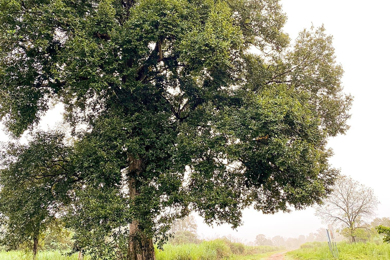 Parque Nacional de Cat Tien Tour particular de 2 dias com guia de turismoNão inclui alimentação e hotel