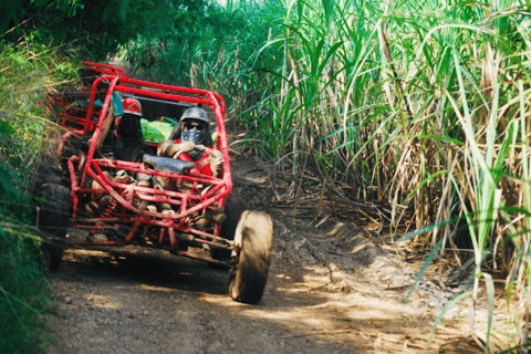 From Bayahibe: Half-day La Romana ATV or 4X4 Buggy Tour