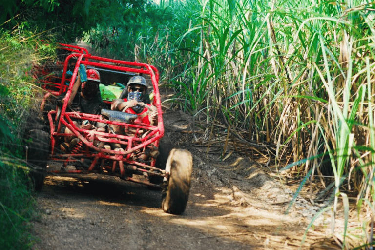 From Bayahibe: Half-day La Romana ATV or 4X4 Buggy Tour