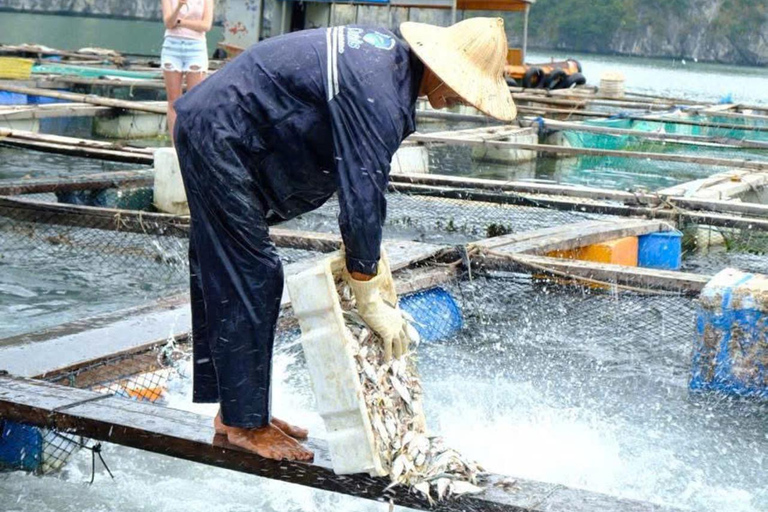 Hanoi/Cat Ba: Lan Ha Bay Day Cruise with Dark & Bright Caves Day Trip Cruise Pick up & Drop Off From Cat Ba Town