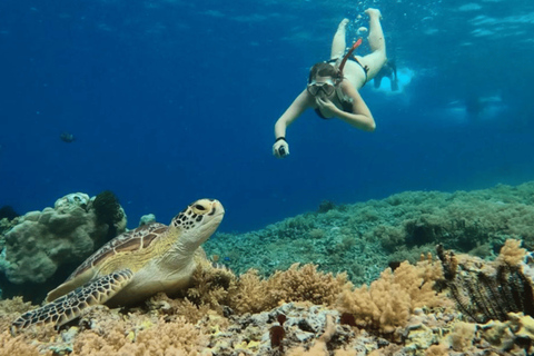 Lombok: Private Gili Island Snorkeling Tour with GoPro Photo