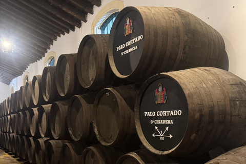 Cadiz: Private Tour with Wine Tasting