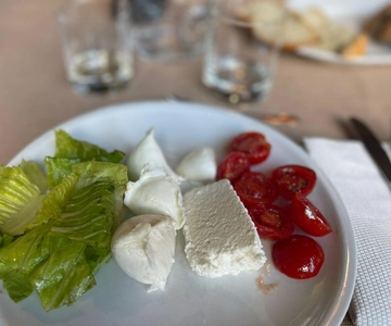 Mozzarella ervaring: Tour + Lunch in de zuivelfabriek van Paestum