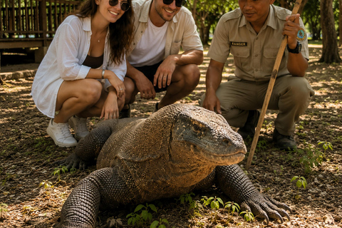 Labuan Bajo: 2-Day Komodo & Pink Beach Tour with Town Dinner Dorm (15 pax/room) 8 Island Stops, No Dinner, No Souvenirs
