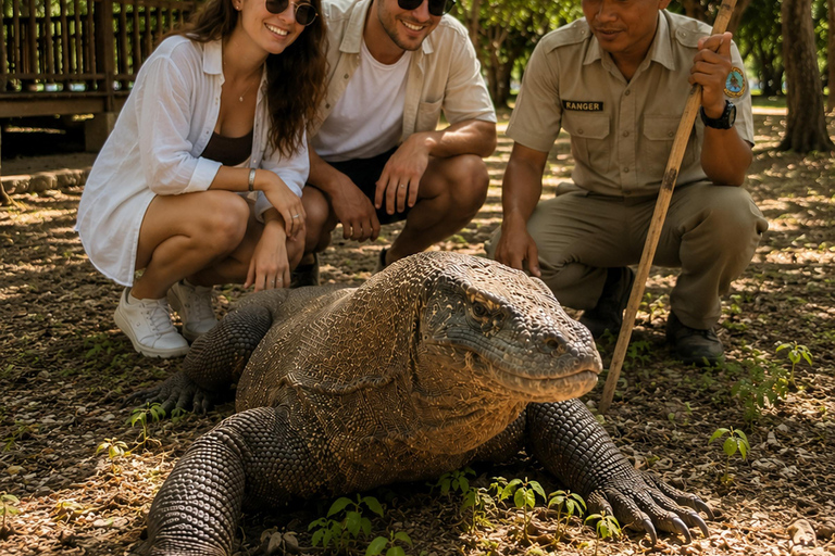Labuan Bajo: 2-Day Komodo & Pink Beach Tour with Town Dinner Dorm (15 pax/room) 8 Island Stops, No Dinner, No Souvenirs