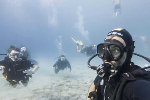 Marmaris: Beginner-Friendly Scuba Diving Tour & Lunch Scuba Diving With Hotel Transfer