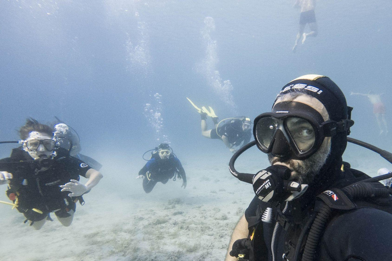 Marmaris: Beginner-Friendly Scuba Diving Tour & Lunch Scuba Diving With Hotel Transfer