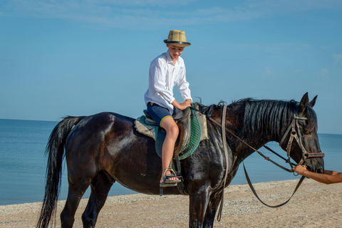 Aruba: Private Sunset Horseback Ride to Hidden Lagoons