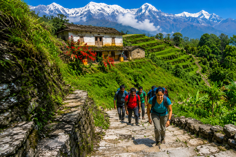 Pokhara: Annapurna Foothills Day Group Hike with Transfers