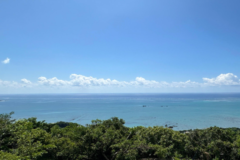 Okinawa Driving Tour with Expert Local Guide
