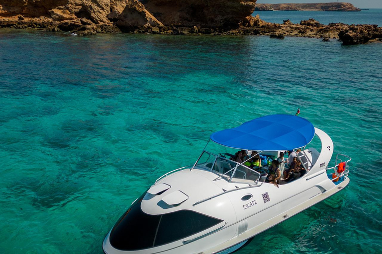 Muscat: Glass-Bottom Snorkeling Trip to Daymaniat w/ Snacks