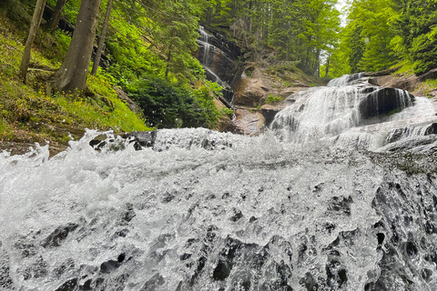 Watervallen Tour vanuit Sarajevo: Wandeling en Bosnische Lunch