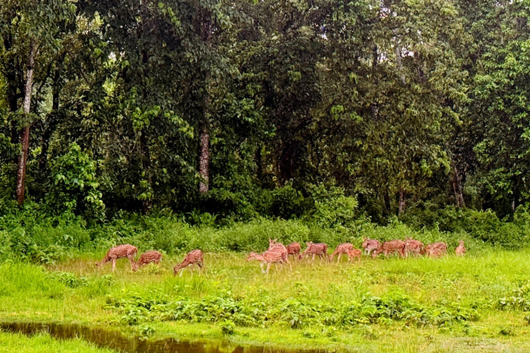 Koshi Tappu Wildlife Safari 3 Days from Kathmandu