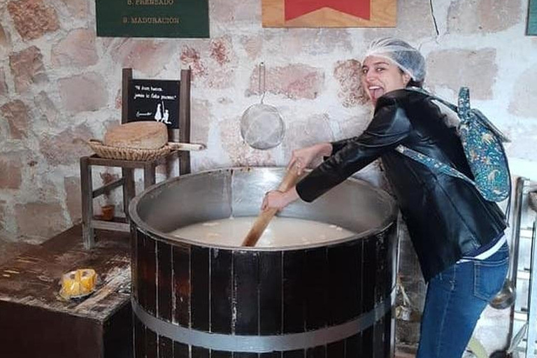 Mexico : visite privée de Querétaro avec dégustation de fromages et de vinsMexico : visite privée avec dégustation de fromages et de vins à Querétaro