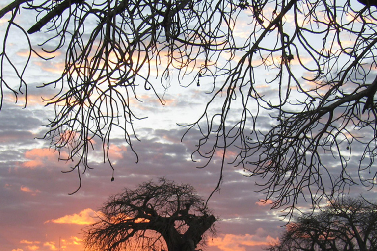 Wyspa Pemba: wycieczka z przewodnikiem po wiosce Mjini Ole z lunchemWyspa Pemba: wycieczka z przewodnikiem po wiosce Mjini Ole z obiadem