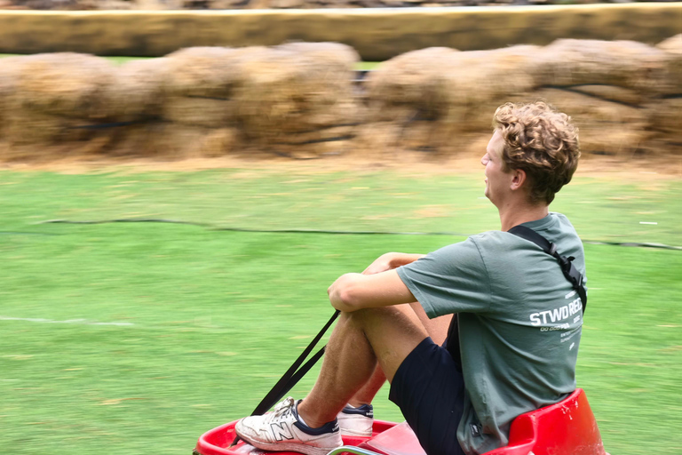 Dalat: Mario Kart - Mongo Land - Countryside Small Group