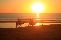 Cabo, cammello in spiaggia - Housity