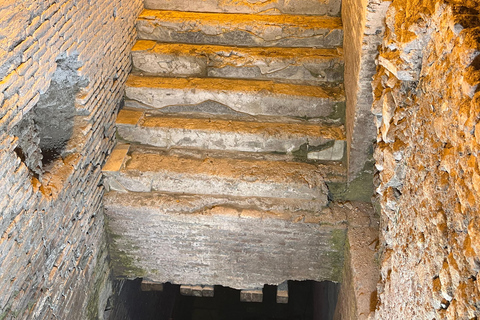 Rom: Trevifontänen Underjordisk rundtur i Trevifontänens distrikt och glassFransk guidad tur och gelato