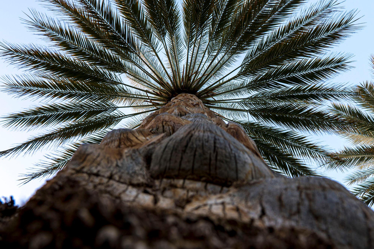 Wadi Shab: Adventure Tour With Cave Swim & Waterfall Visit