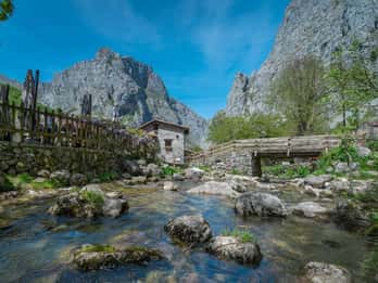 From Cangas de Onís: Lakes of Covadonga and Bulnes by funicular