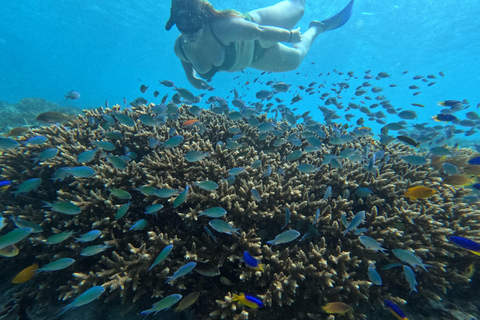 Lombok: Tour in barca delle isole Gili Nanggu, Sudak e Kedis