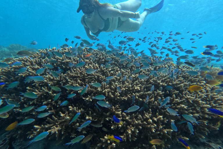 Lombok: Tour in barca delle isole Gili Nanggu, Sudak e Kedis