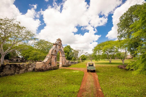 Private Tour Uxmal Land Rover Vintage safari & Mayan brunch