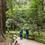 San Francisco: Muir Woods, tour dei vini della Valle di Napa e Sonoma