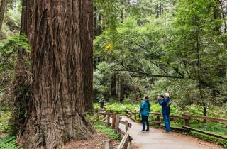 San Francisco: Muir Woods, Napa & Sonoma Valley Wein-Tour