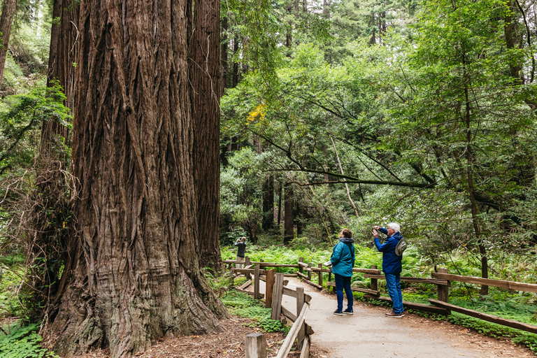 San Francisco: Muir Woods, Napa & Sonoma Valley Wine Tour Shared Tour with Lunch