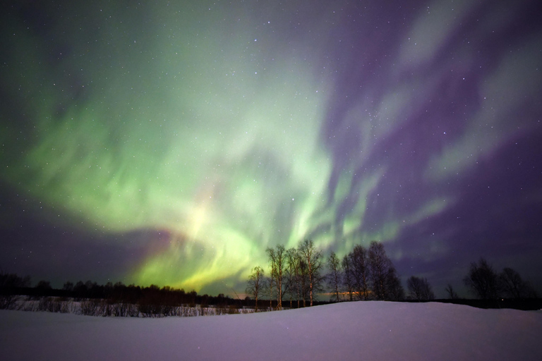 Kittilä: Northern Lights Sled Ride with Snowmobile
